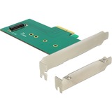 PCI Express x4 Card > 1 x internal NVMe M.2 Key M 110 mm adapter